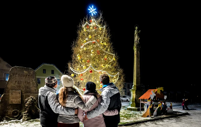 Bradul de Crăciun chel din satul Nový Hrádek (Foto: Profimedia)