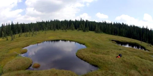 molhasuri rezervartie apuseni