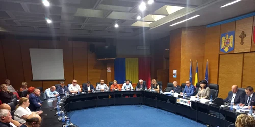 sedinta cj doina federovici gabriel alecsandru 2 jpeg