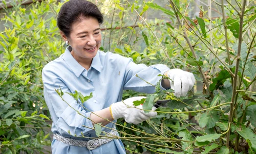 Împărăteasa Masako   FOTO Agenția Imperială 1 jpg