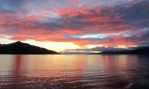 THE PEARL BUTTON: Apa nu uită niciodată! jpeg