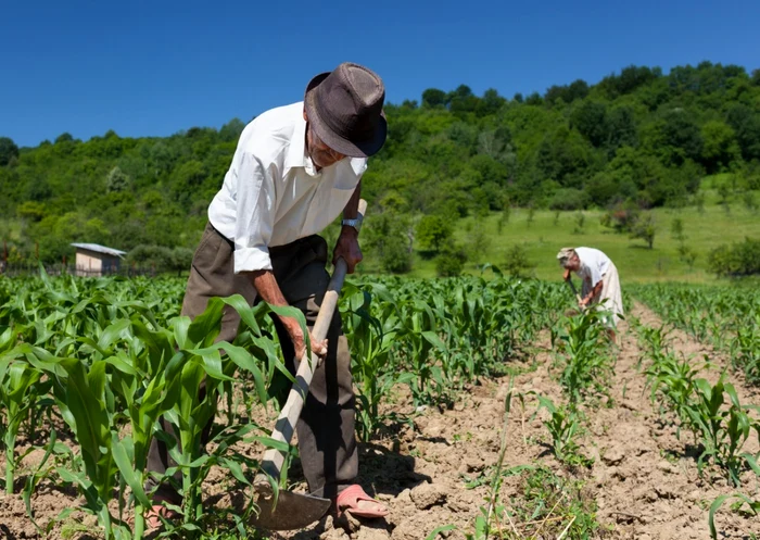 Pensionarii din agricultură au pensiile cele mai mici FOTO: Shutterstock
