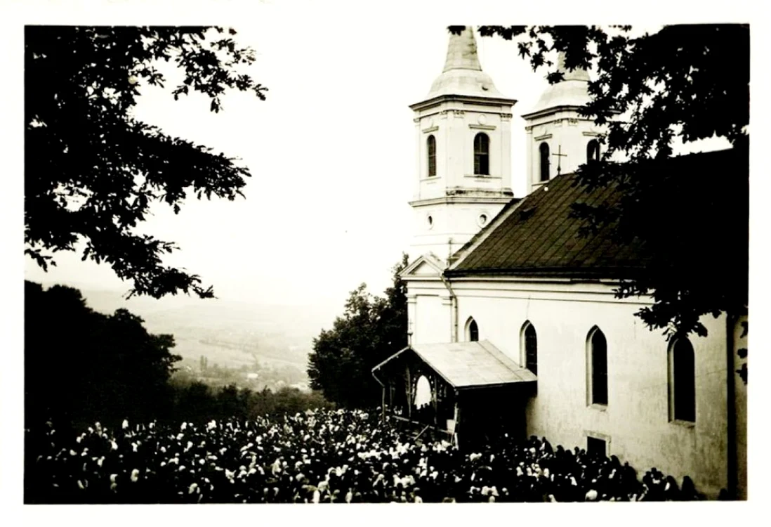 nicula cluj foto