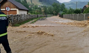 viitura furtuna apuseni