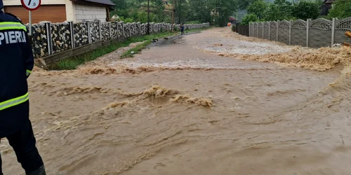 viitura furtuna apuseni