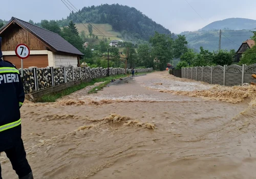 viitura furtuna apuseni
