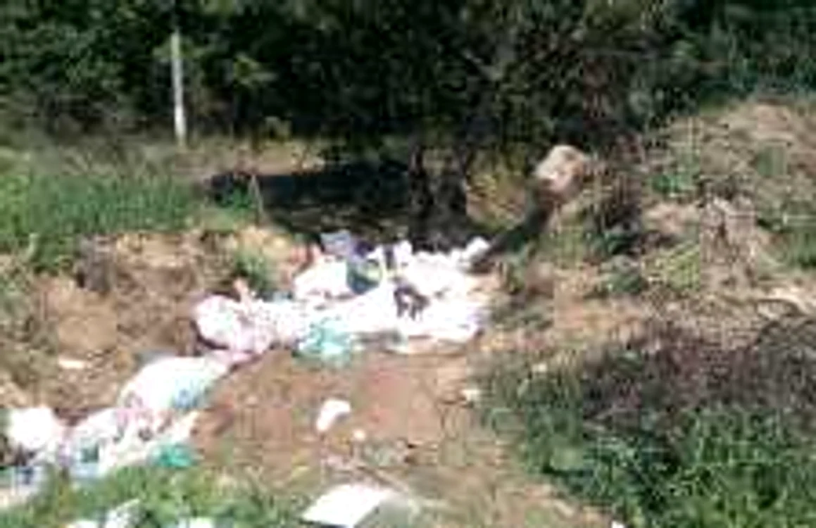 Deşeuri, aruncate la întâmplare FOTO Adevărul