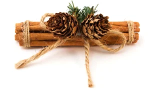 scortisoara shutterstock 96932153 jpeg