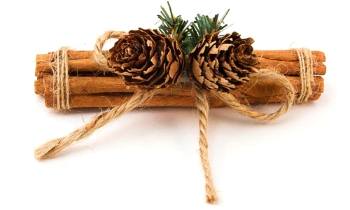 scortisoara shutterstock 96932153 jpeg