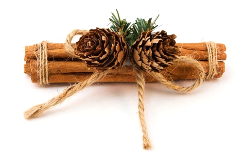 scortisoara shutterstock 96932153 jpeg