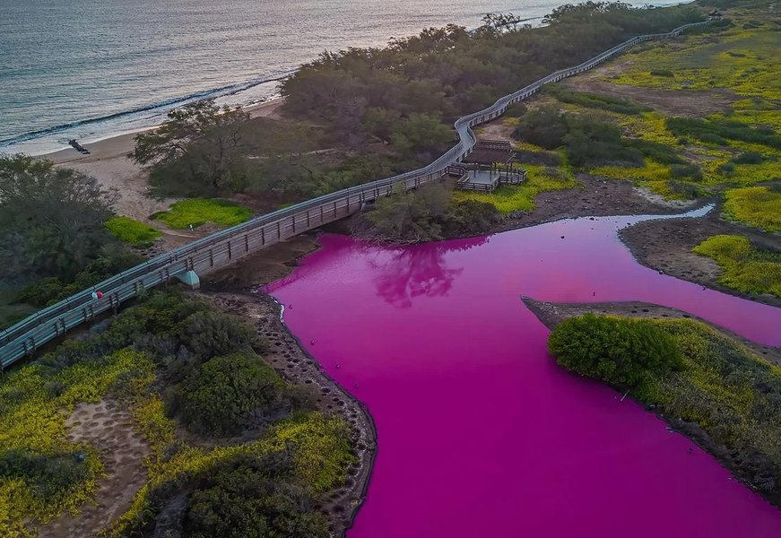 Motivul pentru care apa unui lac s-a colorat în roz. Explicațiile specialiștilor pentru nuanța de basm
