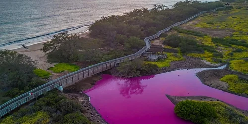 lacul din hawai colorat in roz foto instagram jpg