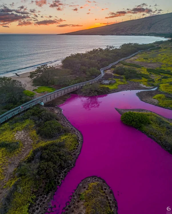 Apa lacului s-a colorat în roz strălucitor FOTO Instagram