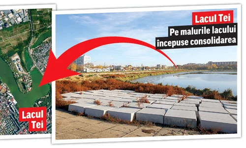 lacurile floreasca tei jpeg
