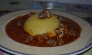 mancarica cu ceapa cu carnita de pui jpeg