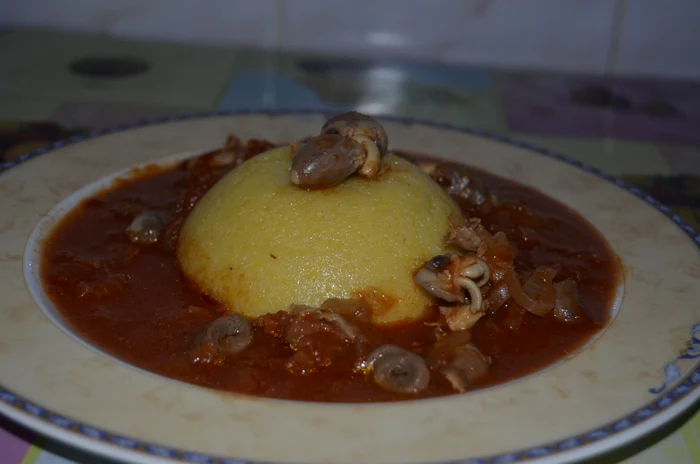 
    Mâncărică cu ceapă cu cărniţă de pui  