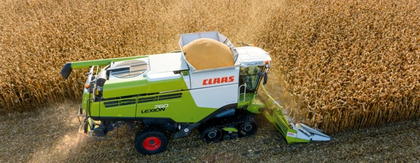 Fermierii au cultivat mai mult porumb în 2019 decât anul trecut FOTO Adevărul