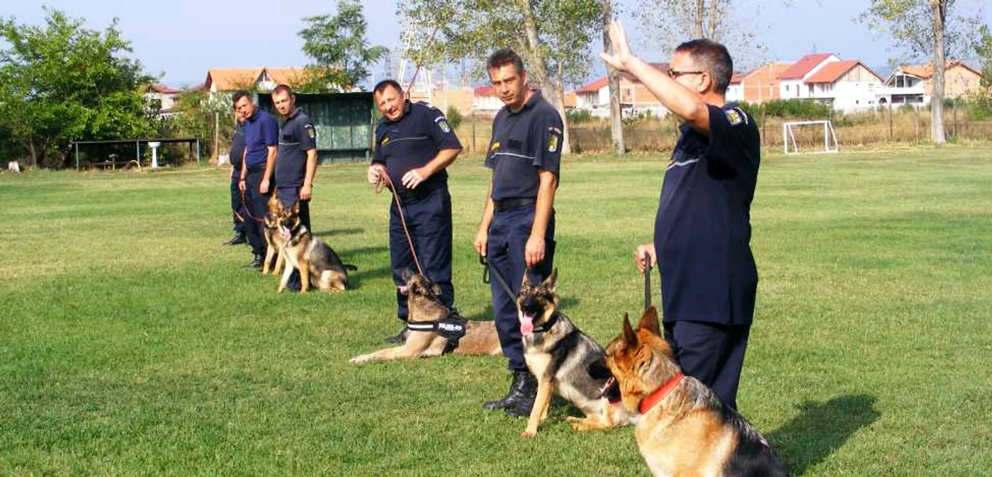 Ei sunt câinii care îi vor ajuta în misiuni pe poliţiştii de frontieră FOTO Corina Macavei