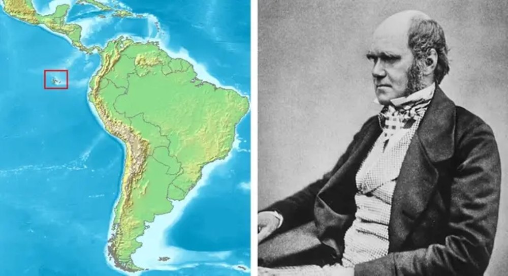 15 septembrie: Charles Darwin ajunge în Galapagos, moment care avea să-i marcheze teoria asupra evoluţiei