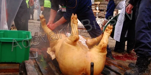 Prin testarea animalelor sacrificate riscul îmbolnăvirilor scade semnificativ Foto: Arhivă