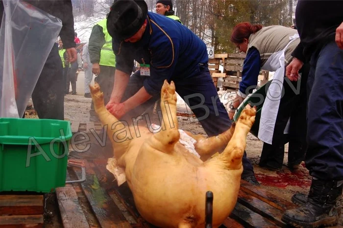 Prin testarea animalelor sacrificate riscul îmbolnăvirilor scade semnificativ Foto: Arhivă