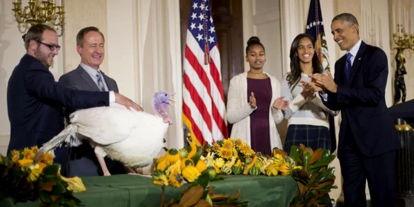 obama curcan