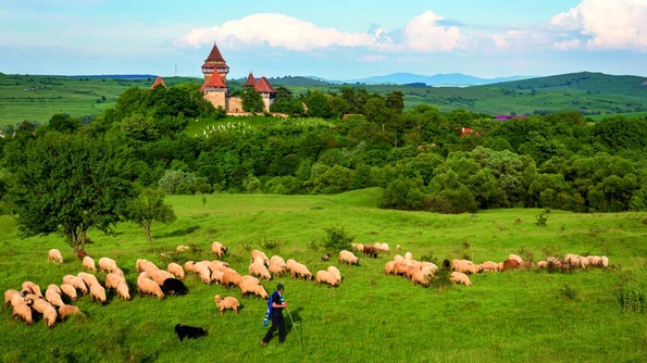 Viscri, satul săsesc din Transilvania care a devenit vedetă internaţională jpeg