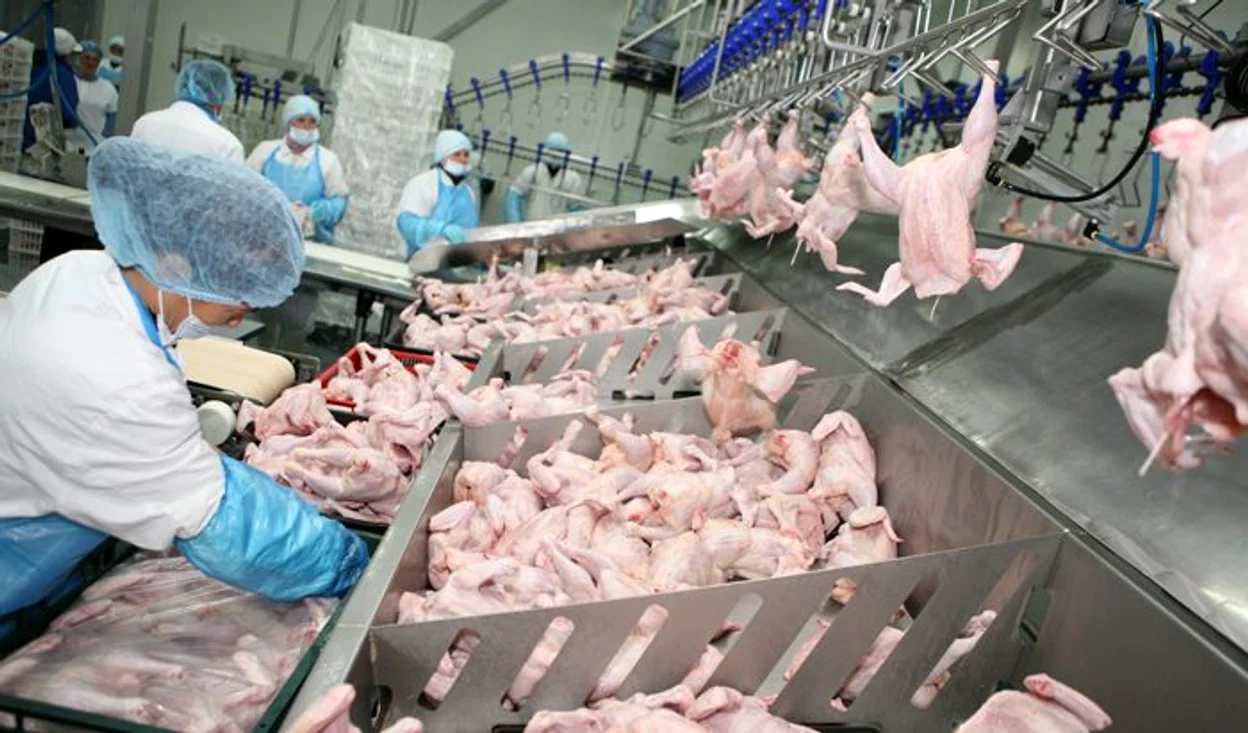 Producătorii de carne au primit comenzi cu 300% mai mari față de medie