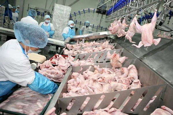 Producătorii de carne au primit comenzi cu 300% mai mari față de medie
