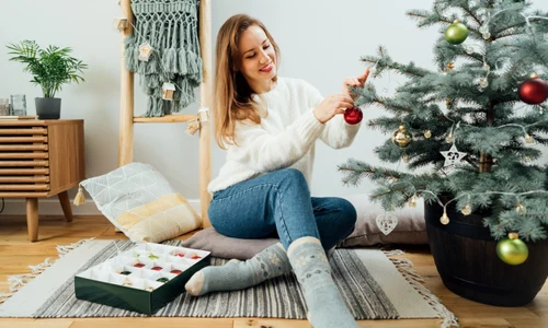 5 motive pentru care sa alegi un brad la ghiveci jpg