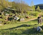 Fundătura Ponorului  Foto Daniel Guță ADEVĂRUL (124) jpg