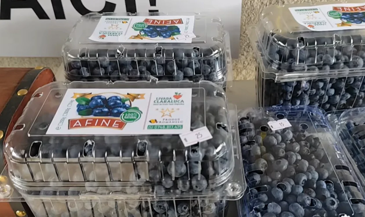 Fructe de pădure din magazinul familiei Foto: captură video