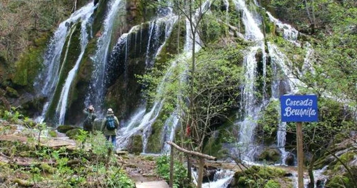 cheile nerei
