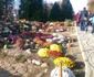 Flori de toamnă în Grădina Botanică Iaşi