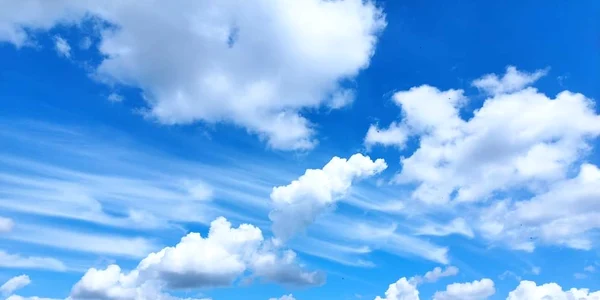 thumbnail FB IMG 1682710027291 jpg