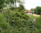 Meisoare Pucheni