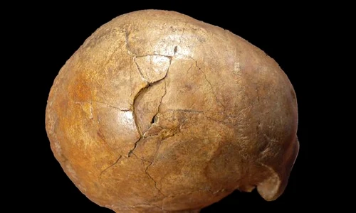 Oamenii de ştiinţă au desluşit parţial misterul morţii unuia dintre primii oameni moderni ce au trăit în Europa, acum circa 33 000 de ani jpeg