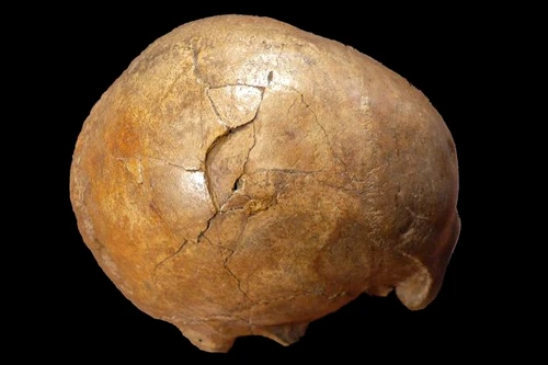 Oamenii de ştiinţă au desluşit parţial misterul morţii unuia dintre primii oameni moderni ce au trăit în Europa, acum circa 33.000 de ani