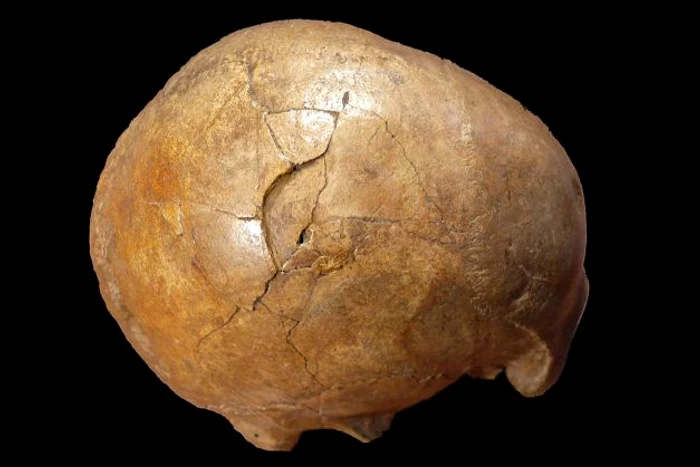Oamenii de ştiinţă au desluşit parţial misterul morţii unuia dintre primii oameni moderni ce au trăit în Europa, acum circa 33.000 de ani