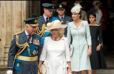 camilla-  meghan-  charles- harry-william- kate ( ok magazine)