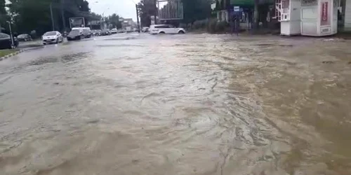 5cf90415445219c57e7f866f jpg