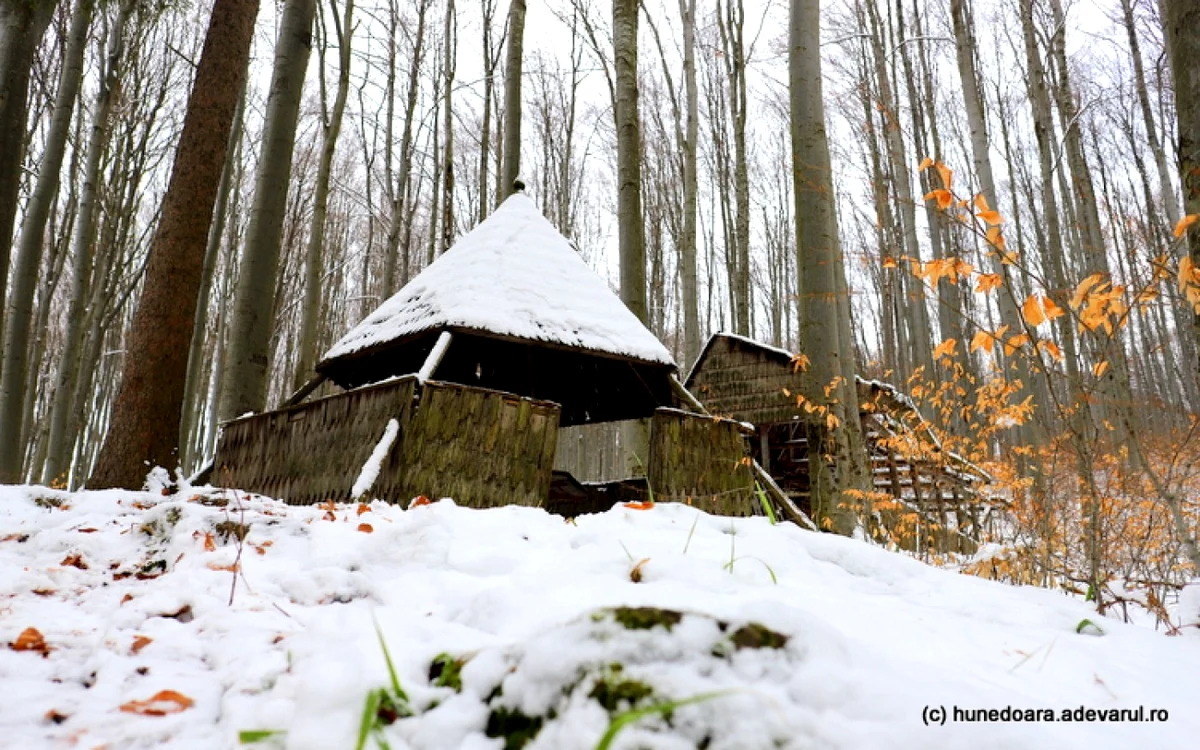 Foiţorul în formă de piramidă. FOTO: Daniel Guţă. ADEVĂRUL