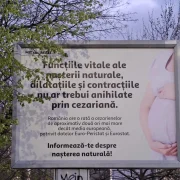 Panou cezariana 2 Sursa Reddit webp