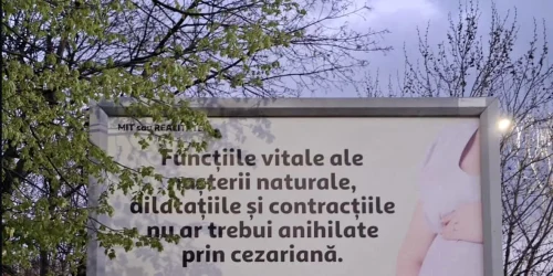 Panou cezariana 2 Sursa Reddit webp