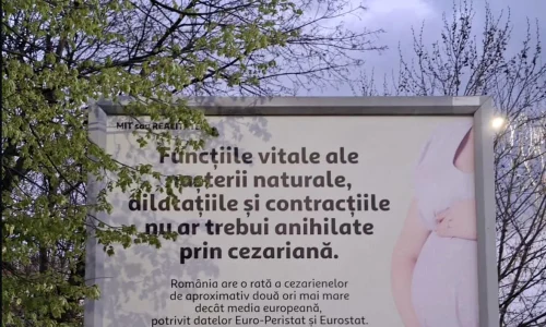 Panou cezariana 2 Sursa Reddit webp