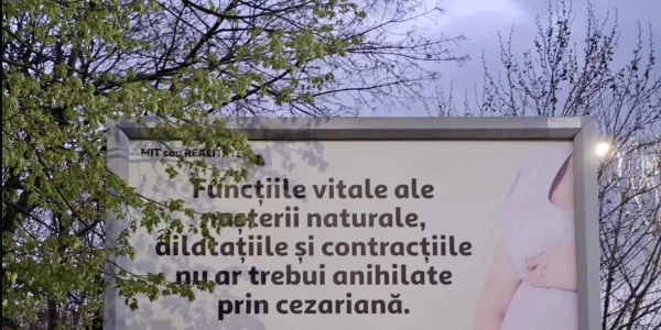 Panou cezariana 2 Sursa Reddit webp