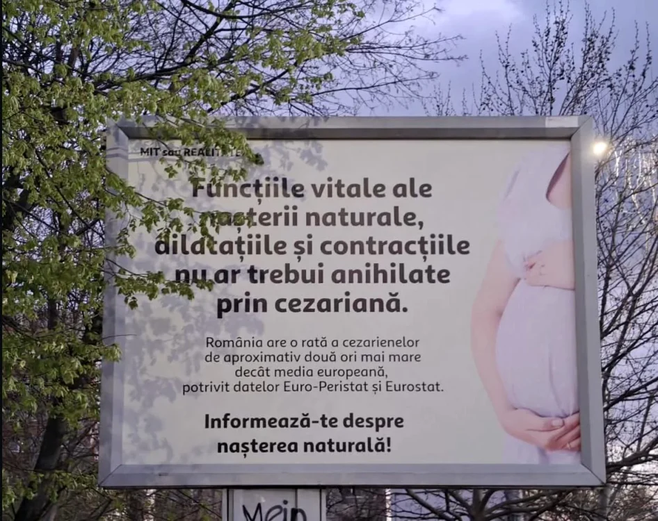 Unul dintre panourile din București FOTO Reddit