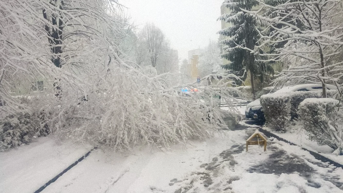 Vom avea zăpadă de Crăciun? Foto: arhiva.