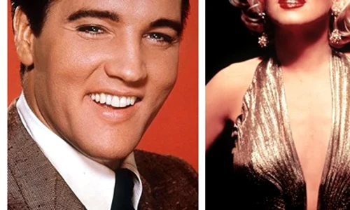 elvis1 jpeg