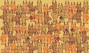 test jpg